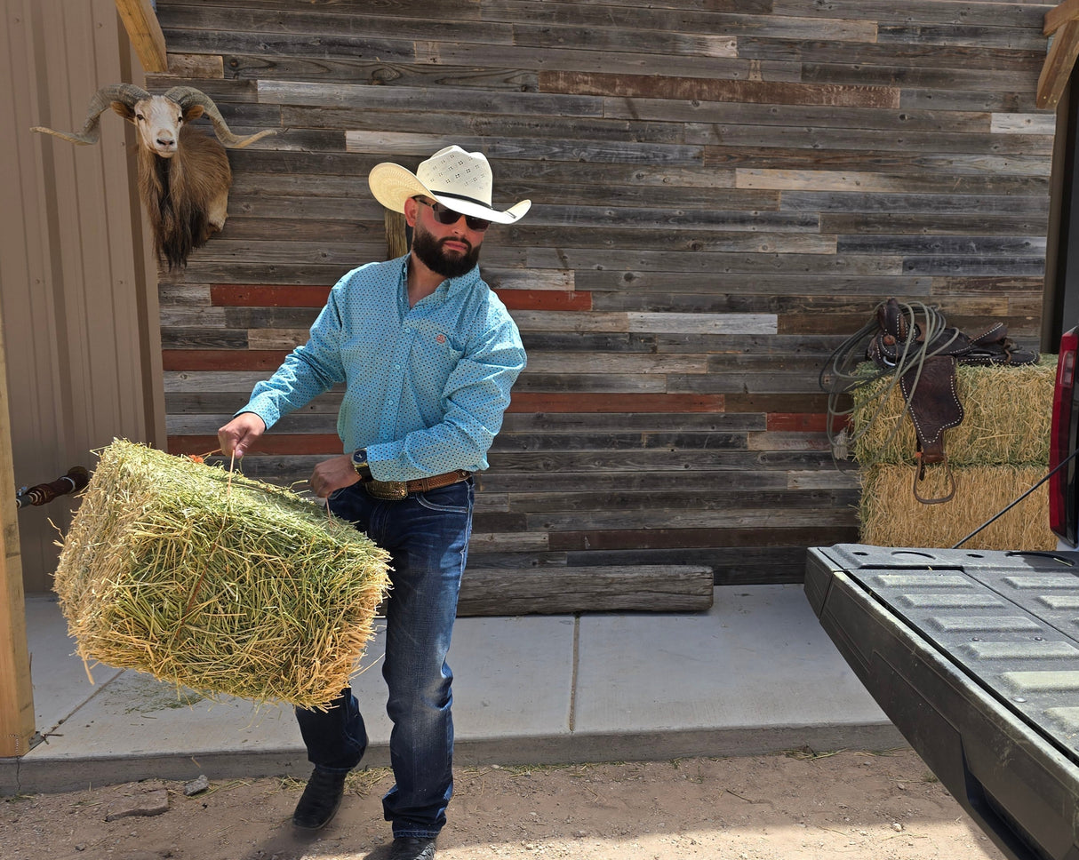 Blue Orange Specs Classic Fit-SKCL2023011 011 *PLEASE SIZE DOWN*